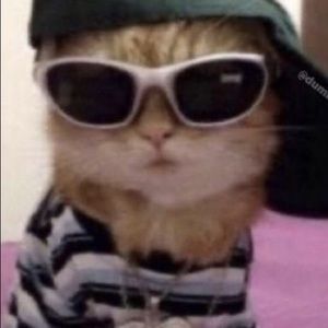 Meet your Posher, Smella